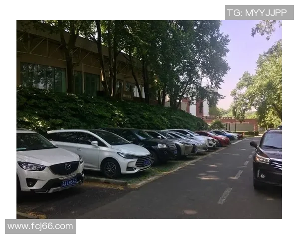 南京网球队节奏争议引发热议球迷与教练之间的观点碰撞